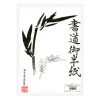 Yasutomo Hanshi Rice Paper Pack from the Traditional Chinese Calligraphy Kit by Rayna Lo